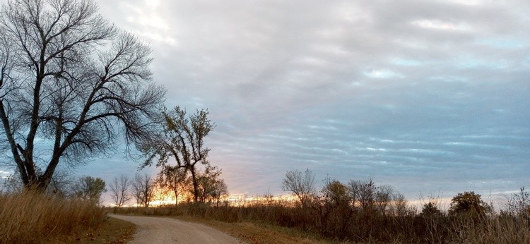 20201027 075305 HDR