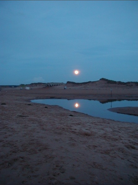 Reflections of Earth