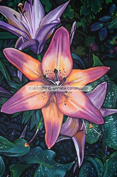 Oriental Lily