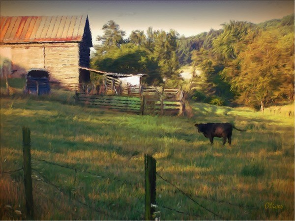 Lutz Hollow Pasture