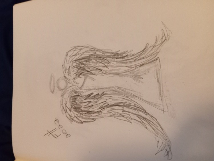 Angeled 1