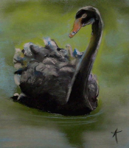 Black Swan