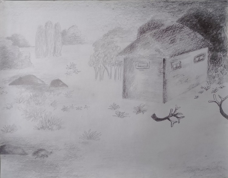 Pencil Drawing