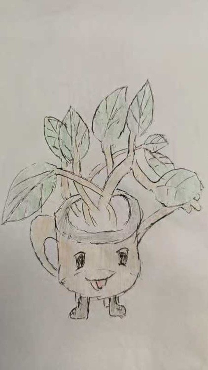 wise leaf