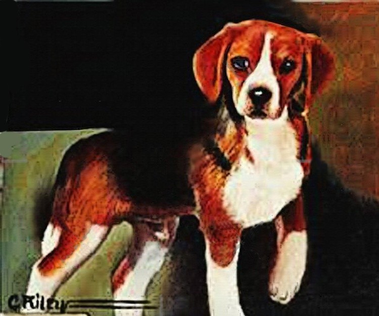 That puppy 