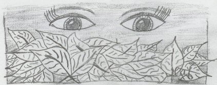 Eyes in the woods