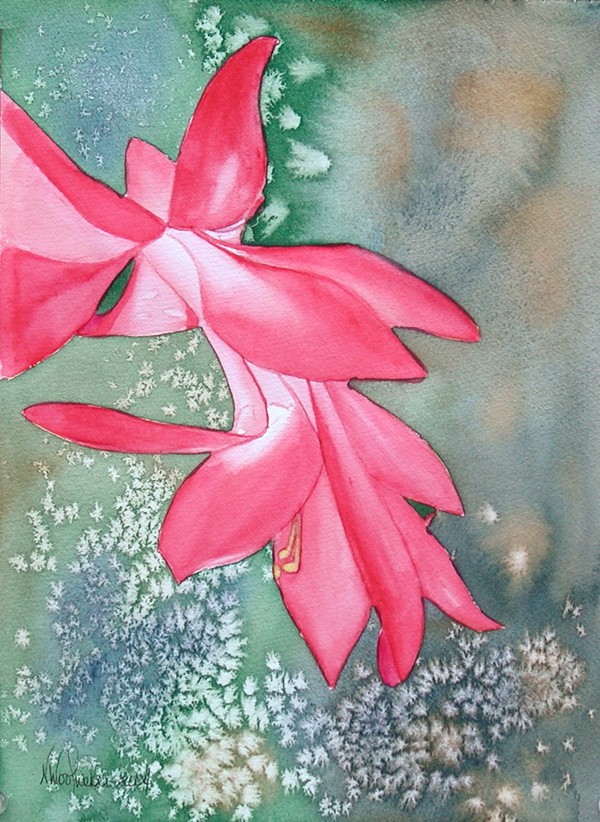 Christmas Cactus