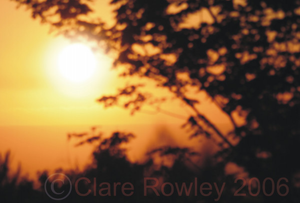 Sunset in Orange