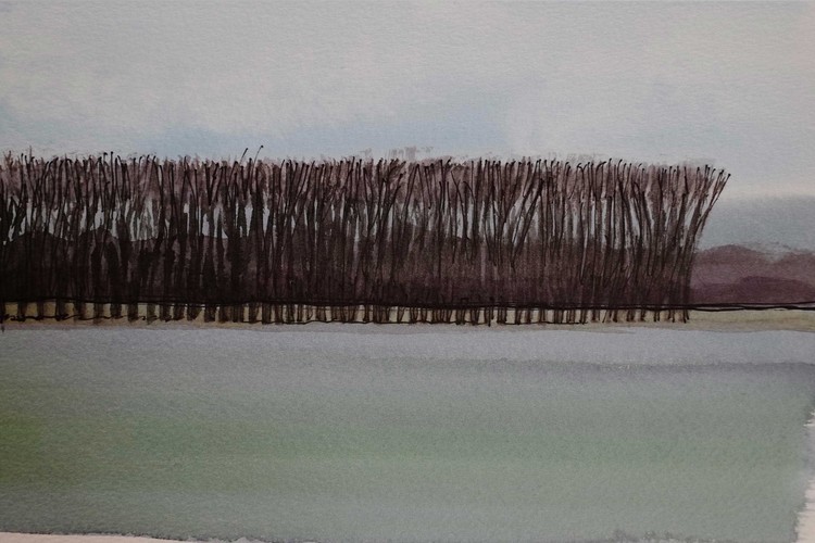 Windbreak