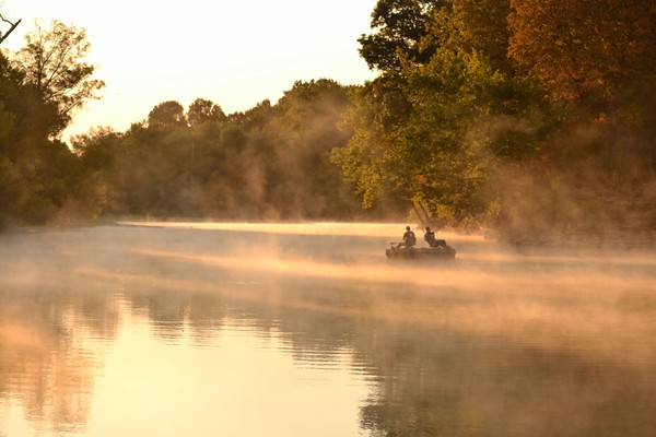Fishing in fog