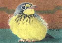 Happy Birdie - ACEO