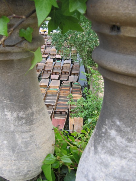 The Punts