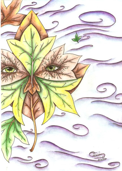 Wind