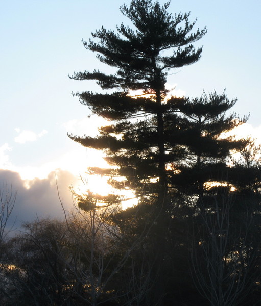 Sunset  at Riverwood 