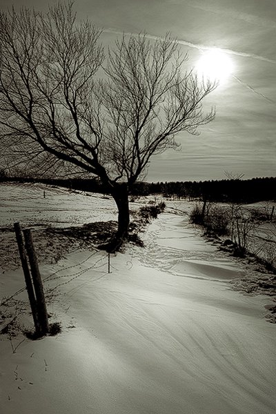 Salem  Cross Lane Revisited