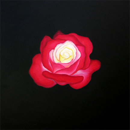 untitled (rose)