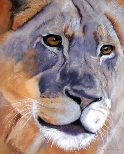 Out of Africa