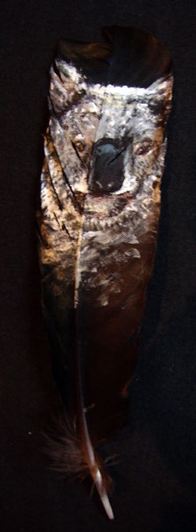 Koala Feather