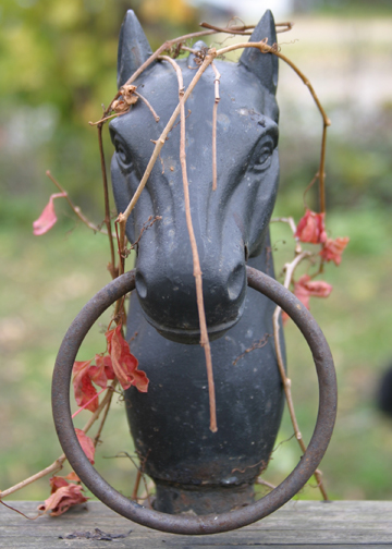 Horsehead