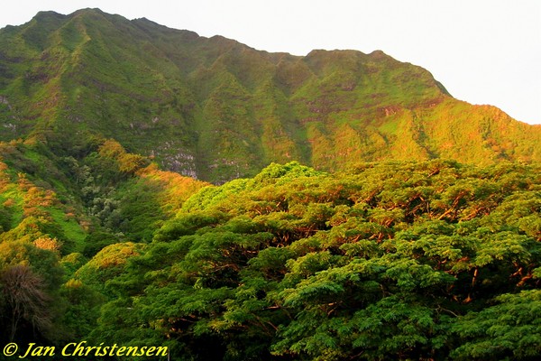 Ko'olau Colors