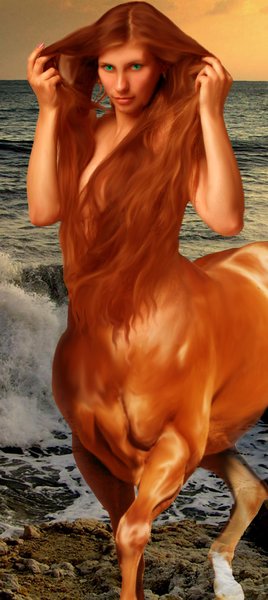 By The Sea