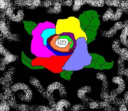 Shades of a Rose
