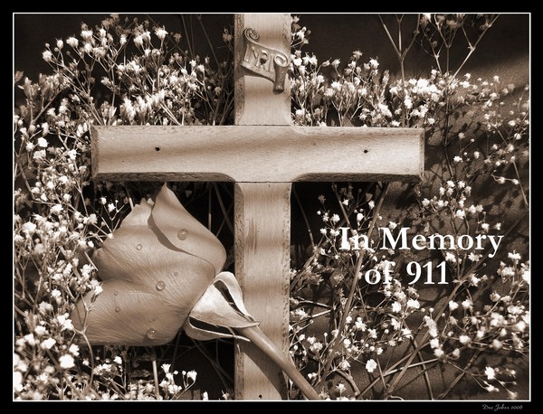 Fallen but not Forgotten