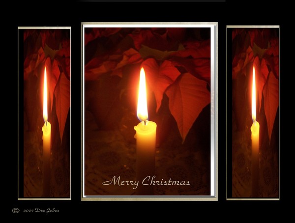 Christmas Light