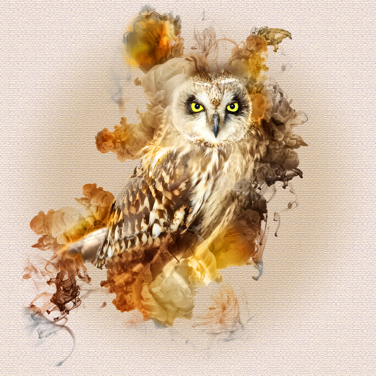 owl