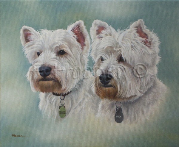 George and Max - west highland white terriers