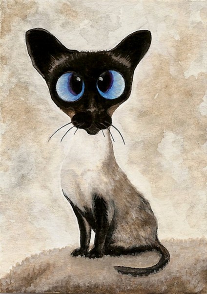 Me Siamese