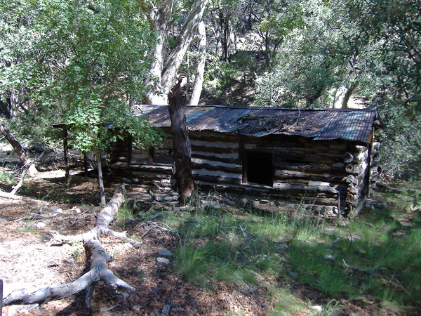 Cabin