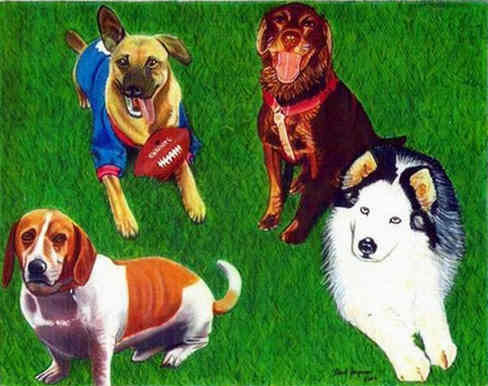 4 Family Dogs