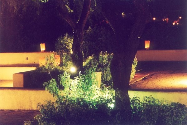 Night Scene 3