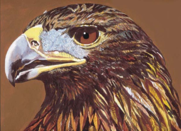 Eagle