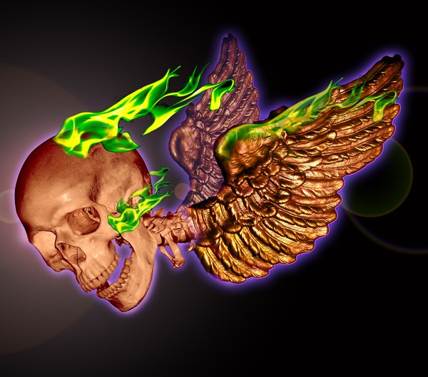 Flaming Skull 2011