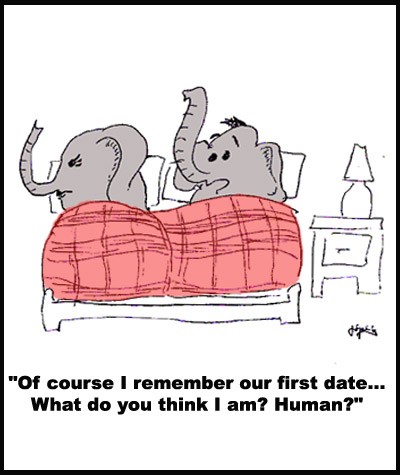 Elephant's NEVER forget!