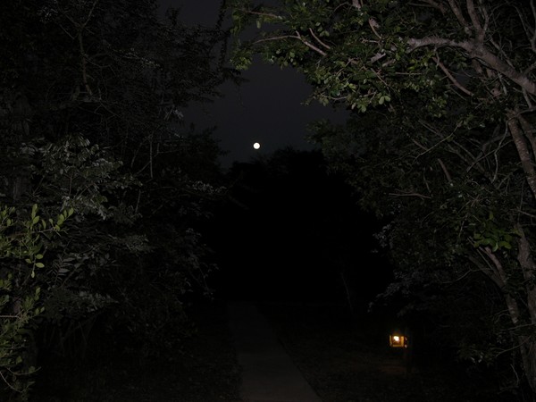 Night Time