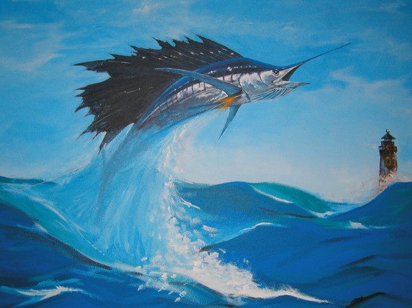 sailfish