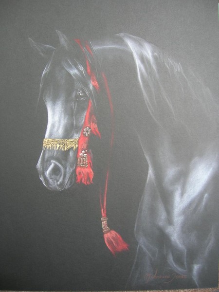Black Horse