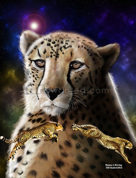 Cheetah