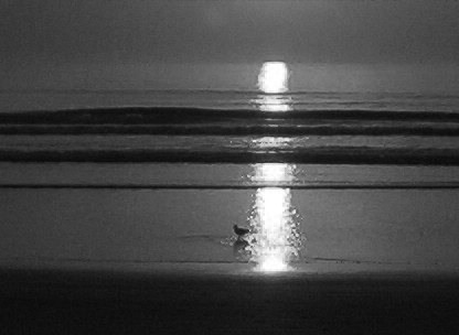 A  B/W SUNRISE