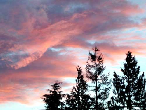 Sunset after the rain