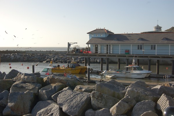fish shop