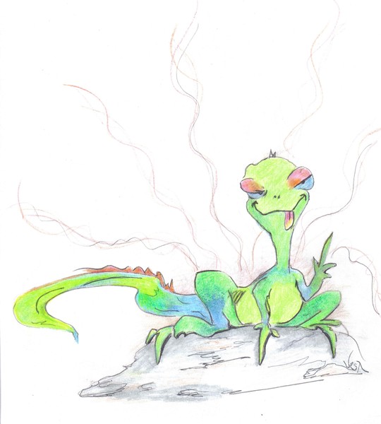 LizArd