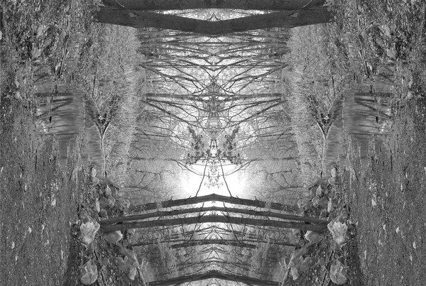 crazed_branches_18