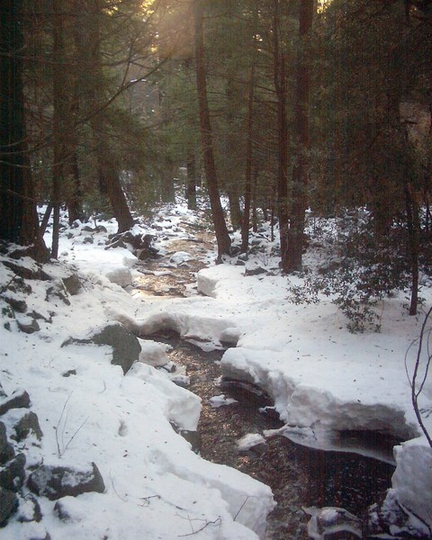 Winter Stream In Sunlight