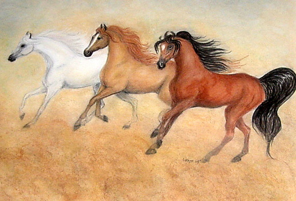 Desert Wind