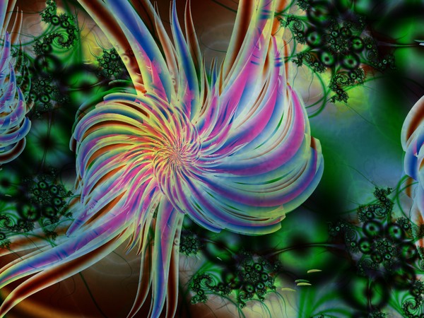 Moon Flower