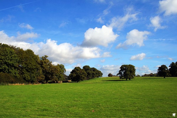 A LITTLE BIT OF ENGLAND